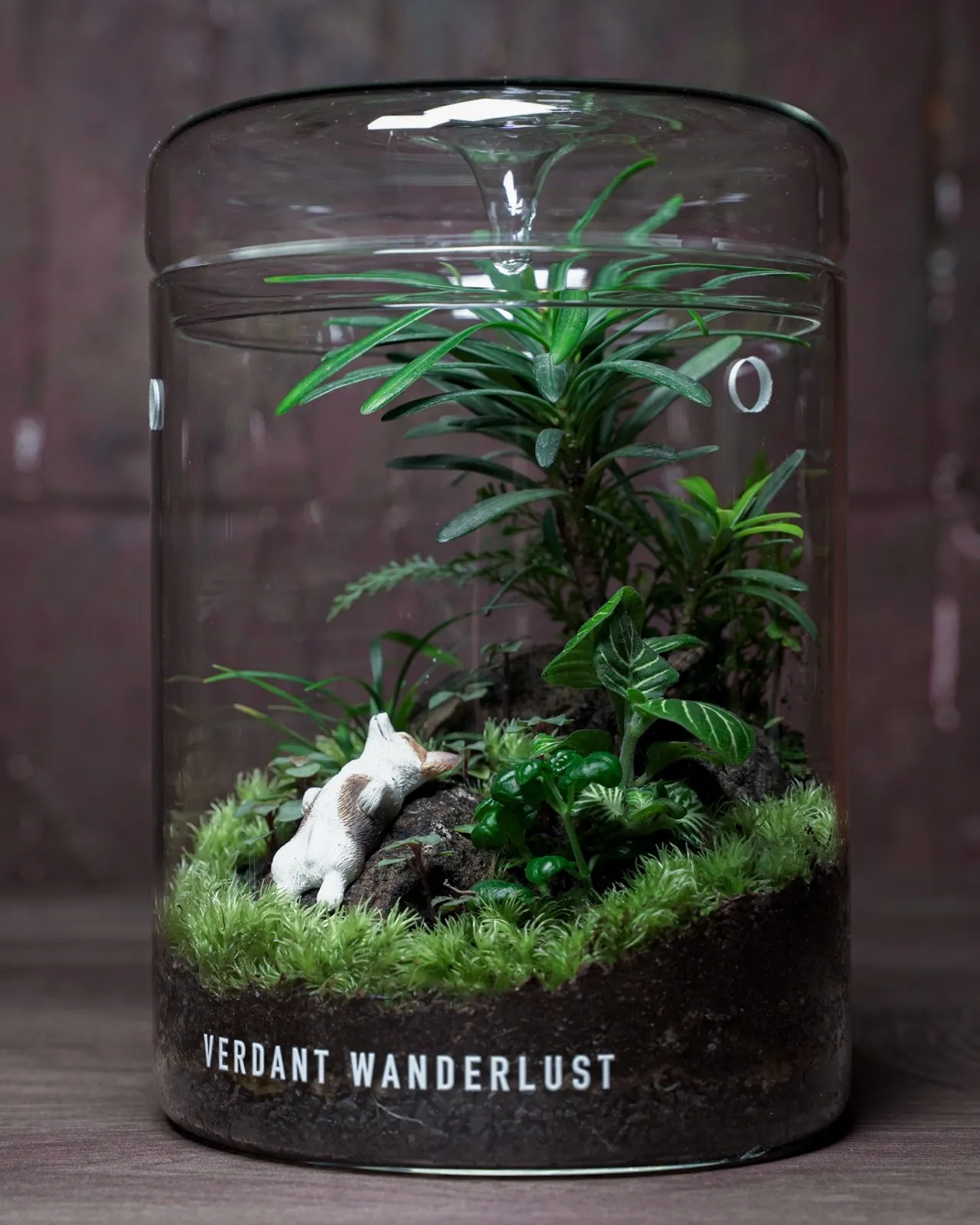 玻璃生態瓶裡的微景觀,苔蘚地被上臥著一隻白色小狗擺件,後方是針葉狀植株